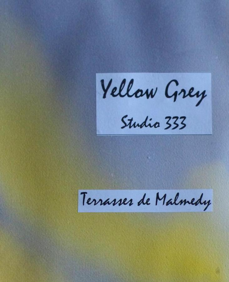 Les Terrasses De Malmedy Studio 333 Yellow Grey Kültér fotó